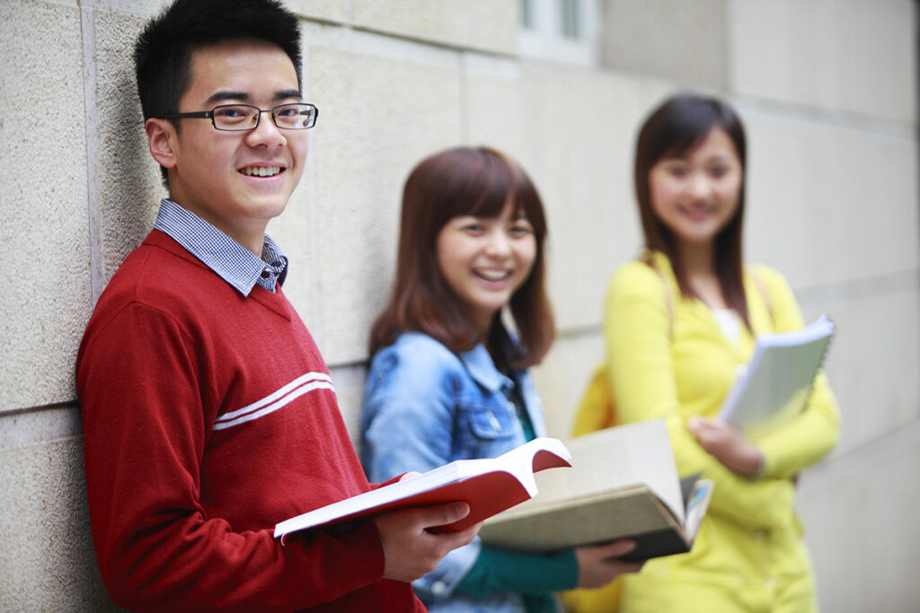 Northcote Green educational consultancy